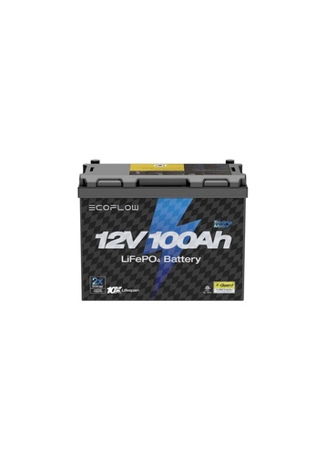 LIFE PO4 lithium Battery (12-V100Ah)